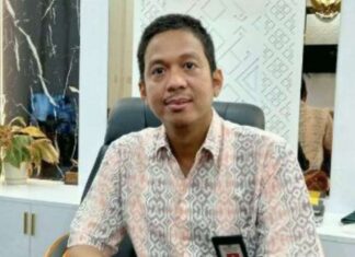 Protes Pergantian Nama Bandara Sorowako, Plt Kadishub Sulsel: Sampaikan Lewat DPRD Luwu Timur