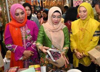 Pj Ketua Dekranasda Sulsel Dorong Produk Kerajinan UMKM Lebih Variatif dan Kreatif