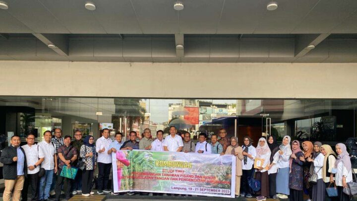Perkuat Ketahanan Pangan, Pemprov Sulsel Gandeng GGF Lampung Kembangkan Tanaman Pisang Pemprov Sulsel