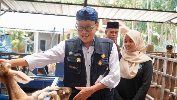 Diversifikasi Produk dan Olahan Kambing Jadi Bukti Keberhasilan P4S Lurisae Purworejo kementan