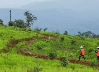 800 Ha Kebun Merica Ganggu Aktivitas Tambang Vale di Lutim, DLHK Ingatkan Pasal Pidananya