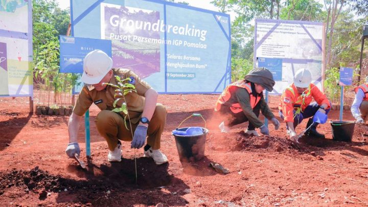 Vale Bangun Nursery di Pomalaa, Jadi Pusat Pembibitan Nursery