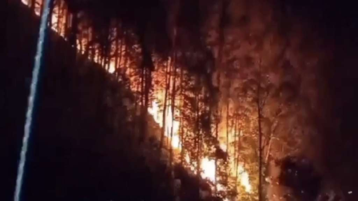 Hutan Pinus Jenetallasa dan Loka Kabupaten Jeneponto Terbakar Hutan Pinus