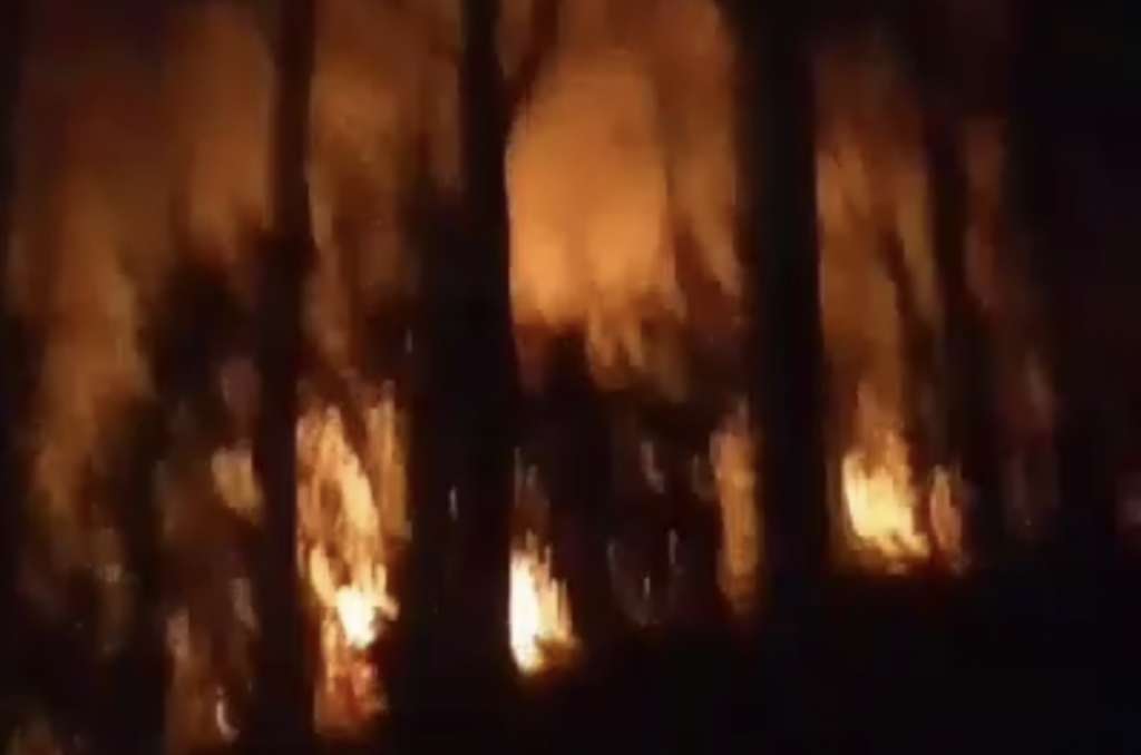 Hutan Pinus Jenetallasa dan Loka Kabupaten Jeneponto Terbakar