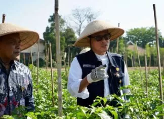 Transformasi Pertanian Modern, Petani Masa Kini Wajib Terapkan Smart Farming