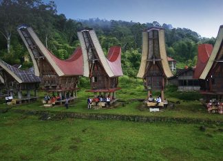 tana toraja