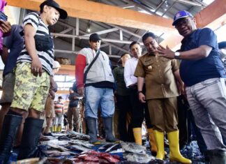 Tinjau TPID Poetere Makassar, Pj Gubernur Sulsel: Harga Ikan Stabil