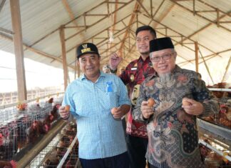 Pj Gubernur Sulsel Kunjungi Peternakan Ayam dan Kambing di Gowa