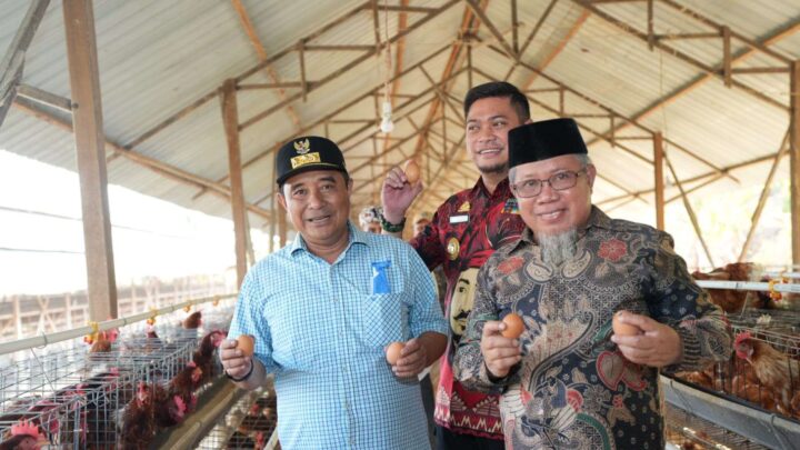 Pj Gubernur Sulsel Kunjungi Peternakan Ayam dan Kambing di Gowa pj gubernur sulsel