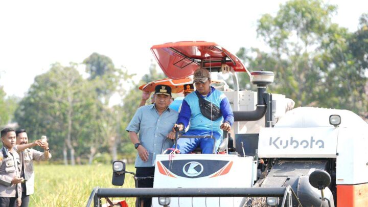 Pj Gubernur Sulsel Panen Raya di Tengah Dampak El Nino Pj Gubernur Sulsel