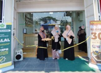 Chocoliucius Indonesia