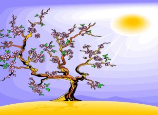 badan meteorologi klimatologi dan geofisika