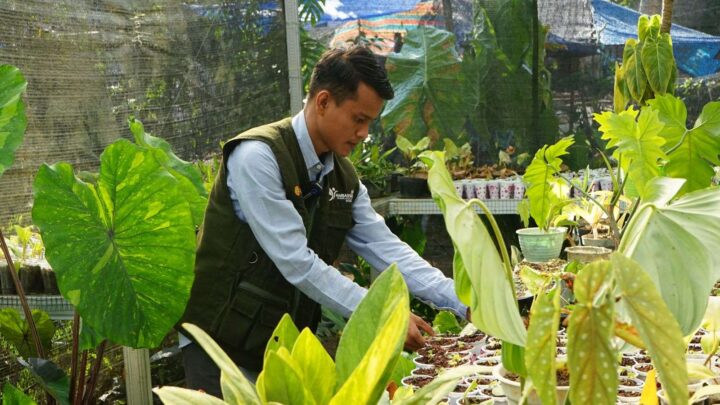 Pertanian Ladang Cuan, Petani Millenial asal Bone Sukses Kembangkan Klaster Usaha Tanaman Hias YESS