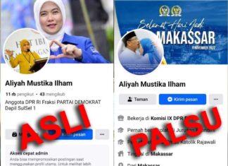Akun Facebooknya Dicatut, Anggota DPR RI Aliyah Mustika Ilham Minta Waspada Modus Penipuan