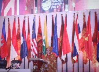 negara perwakilan asean