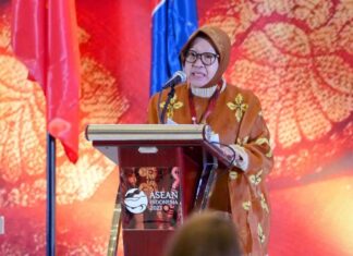 Poin penting pemenuhan hak Disabilitas