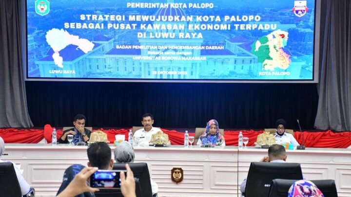 Palopo Jadi Pusat Kawasan Ekonomi Terpadu Se-Luwu Raya, Tata Ruang Kota Jadi Perhatian Palopo