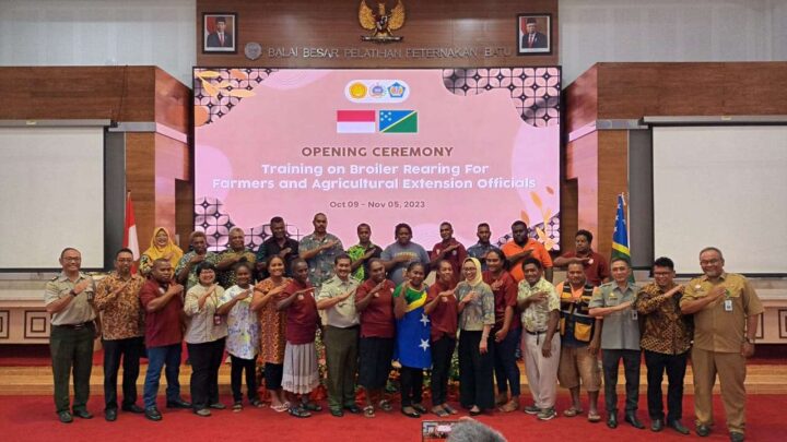 Kementan Latih Peternak Dan Penyuluh Negara Kepulauan Solomon Beternak Ayam Broiler Kementan