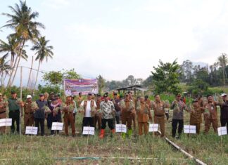 Produksi Bawang Merah Berkurang Karena El Nino, Pemprov Sulsel Bakal Bantu Sumur Bor untuk Petani Enrekang