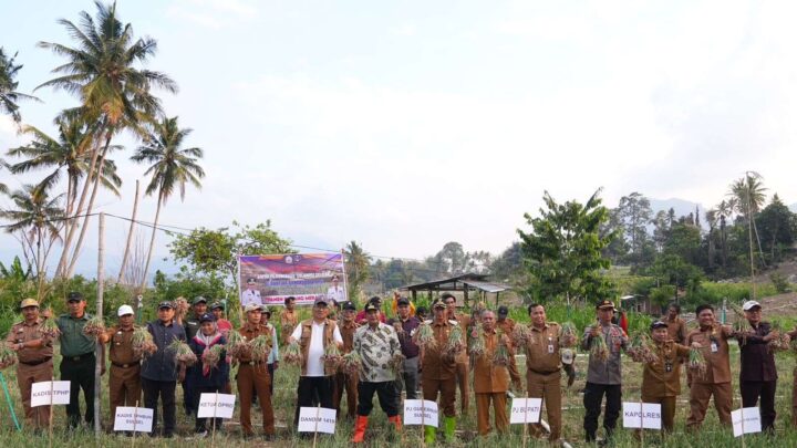 Produksi Bawang Merah Berkurang Karena El Nino, Pemprov Sulsel Bakal Bantu Sumur Bor untuk Petani Enrekang Pemprov Sulsel