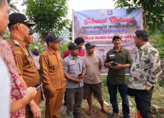 Atasi Masalah Petani Bawang Merah di Enrekang, Pemprov Sulsel Siapkan Skema Bisnis Hulu Hingga Hilir