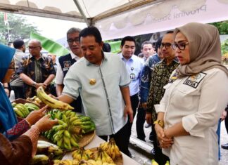 Pj Gubernur Sulsel Dorong Tanam Pisang Agar Tingkatkan Kesejahteraan Petani