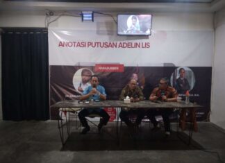 Pakar Hukum Sebut Adelin Lakukan Pelanggaran Administratif