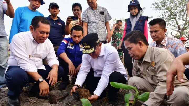 Sidrap Bakal Hadirkan Kawasan Budidaya Pisang, Syaharuddin Alrif: Lahan Kosong Harus Diisi Pemprov Sulsel