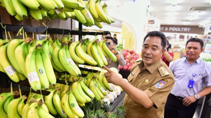 Forum CSR Siap Support Program Budidaya Pisang Cavendish Sulsel Forum CSR