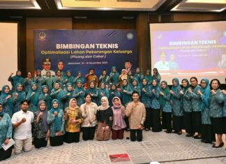 TP PKK Sulsel Dorong Keluarga Maksimalkan Pekarangan dengan Tanam Pisang dan Cabai