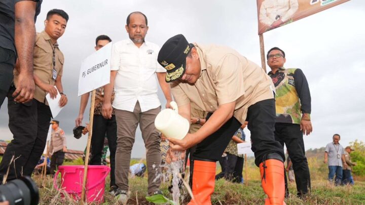 Pemkab Gowa Siapkan Lahan 3.600 Hektar untuk Budidaya Pisang Cavendish Pemkab Gowa