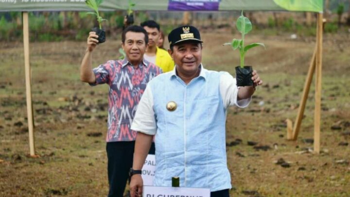 Pj Gubernur Sulsel Bersama Rektor IAIN Bone Tanam 1.000 Pohon Pisang Cavendish Pemprov Sulsel