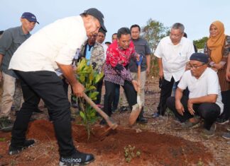 Penanaman Bibit Nangka Madu di Bulukumba, Pj Gubernur Sulsel: Jangan Biarkan Lahan Kosong