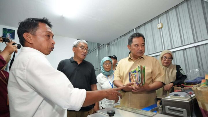 Wakil Ketua DPRD Sulsel Bersama Pj Gubernur Tinjau Pabrik Pengolahan Keripik Pisang Loka Sidenreng Pemprov Sulsel