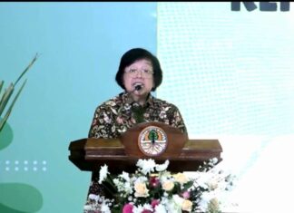 menteri lhk siti nurbaya