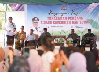 Pj Gubernur Sulsel Ajak Petani Desa Mattiro Walie Bone Budidaya Pisang