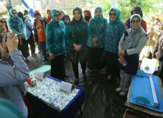 Pj Ketua TP PKK Sulsel Kunjungi Posyandu dan Tanam Cabai di Kelurahan Macanang Bone