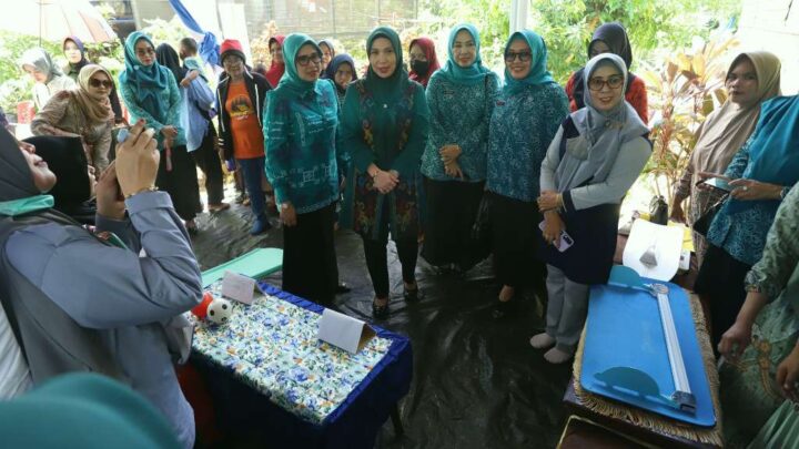 Pj Ketua TP PKK Sulsel Kunjungi Posyandu dan Tanam Cabai di Kelurahan Macanang Bone Pemprov Sulsel
