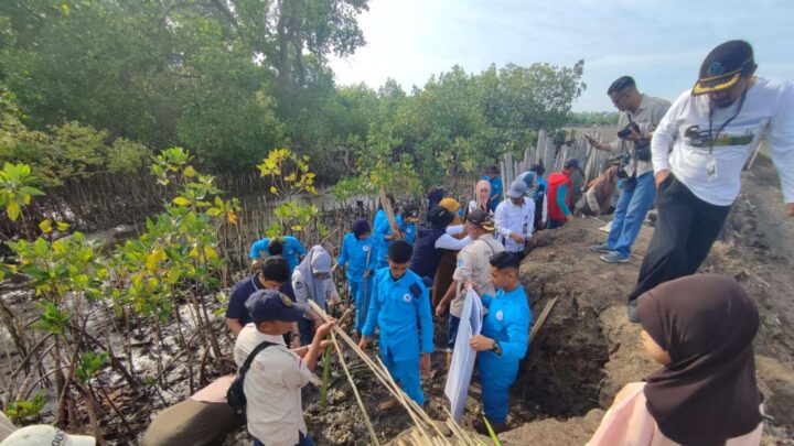 Lestarikan Pesisir di Hari Nusantara, DKP Sulsel Tanam 78 Ribu Mangrove di Bone Hsri Nusantara