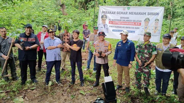 Kawasan Geopark Rammang-rammang