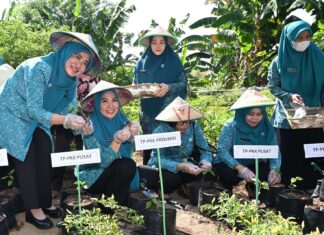 Sekretaris Umum PKK Pusat Puji Gerakan Tanam Cabai di Sulsel untuk Turunkan Inflasi