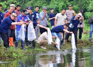 8.000 Bibit Ikan Nila Ditebar di Kampus Biru Unismuh