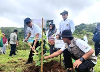 penanaman pohon serentak