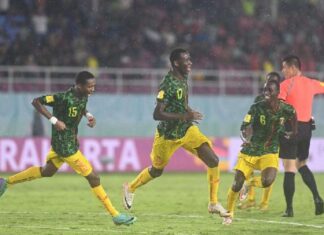 timnas mali