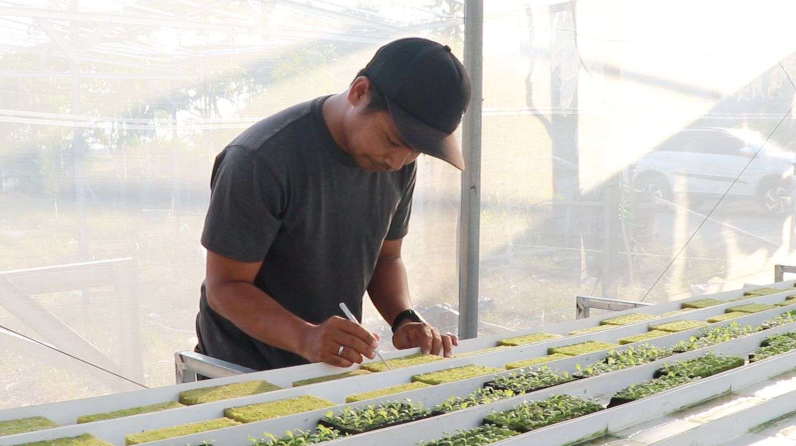 Program Kementan Memudahkan Akses Usaha Petani Muda Hidroponik Asal Maros