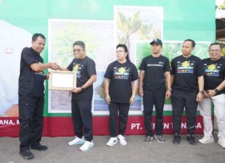 Semen Tonasa Tanam 7.000 Pohon Mangrove di Pantai Pidada