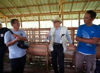 Kementan Dukung Pengembangan Bisnis Ternak KUB di Palangkaraya