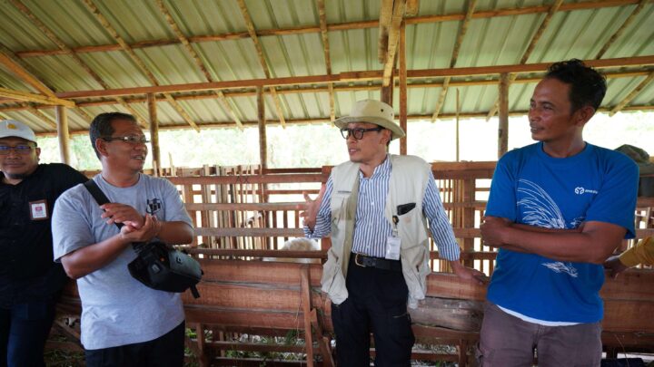 Kementan Dukung Pengembangan Bisnis Ternak KUB di Palangkaraya kementerian pertanian