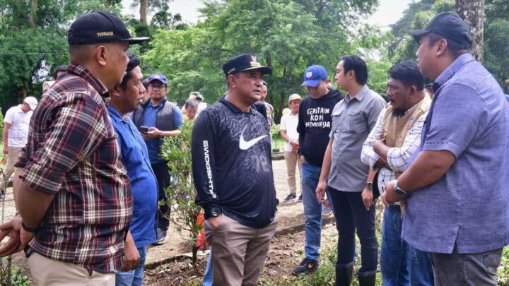 Mahasiswa Unsulbar Berkontribusi Tanam Sukun di Kawasan Pengembangan Peternakan Pucak Maros Pemprov Sulsel