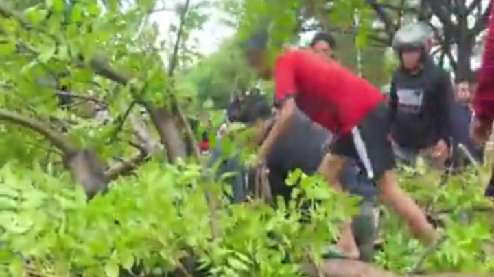 Hujan Deras Menuai Pohon Tumbang, Menimpa Seseorang Ibu dan Anaknya Hujan Deras
